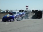 SANANT2006_0325BD.JPG